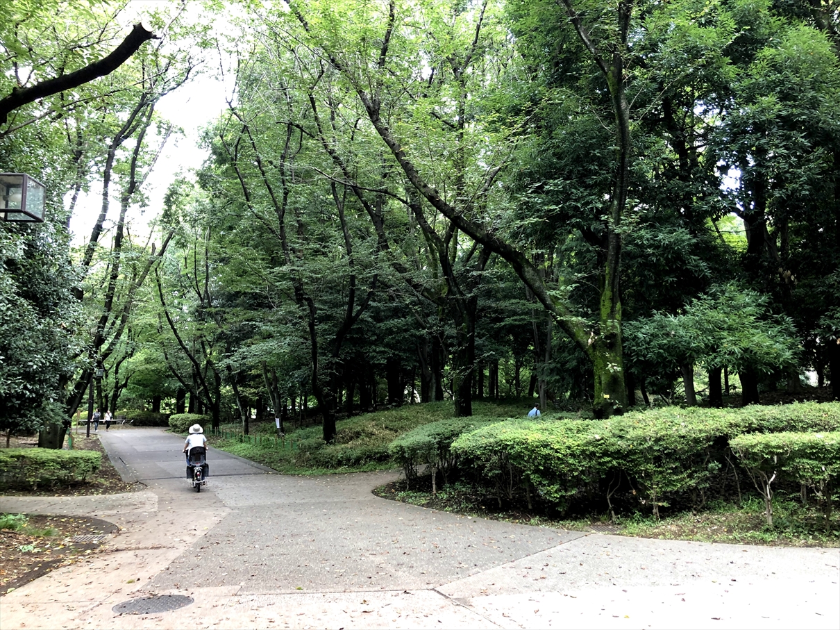 光が丘団地近く 春の風公園 は緑の宝庫 森林浴レベルの癒しスポットで花見や水遊び 遊具も充実 光が丘びいき